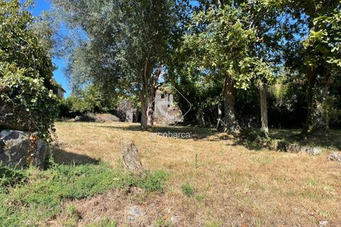 Byhus i Paredes de Coura, Viana do Castelo, Paredes de Coura - € 70.000 | Ref: AV6096 - foto 4