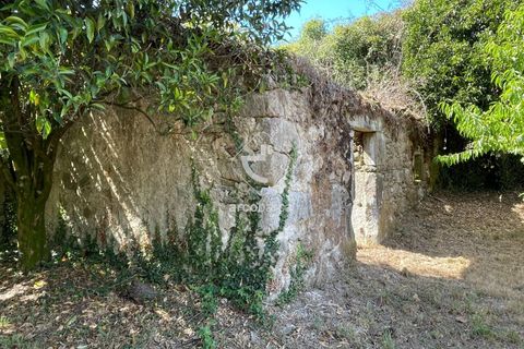 Byhus i Paredes de Coura, Viana do Castelo, Paredes de Coura - € 70.000 | Ref: AV6096 - foto 6