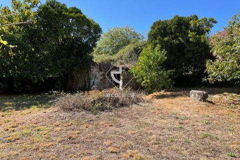 Byhus i Paredes de Coura, Viana do Castelo, Paredes de Coura - € 70.000 | Ref: AV6096 - foto 18