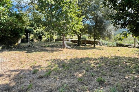Byhus i Paredes de Coura, Viana do Castelo, Paredes de Coura - € 70.000 | Ref: AV6096 - foto 29