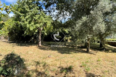 Byhus i Paredes de Coura, Viana do Castelo, Paredes de Coura - € 70.000 | Ref: AV6096 - foto 34