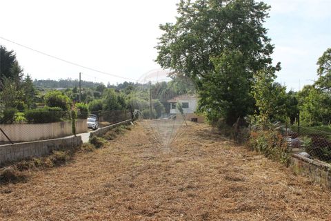 Helårsgrund i Valenca, Viana do Castelo, Valenca - € 49.000 | Ref: 123731008-395 - foto 11