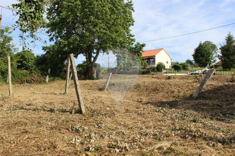 Helårsgrund i Valenca, Viana do Castelo, Valenca - € 49.000 | Ref: 123731008-395 - foto 13