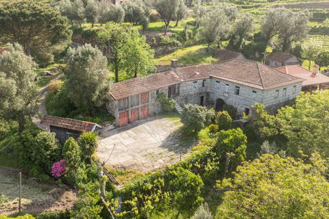 Farm i Celorico de Basto, Braga, Celorico de Basto - € 450.000 | Ref: 126221008-340 - foto 1