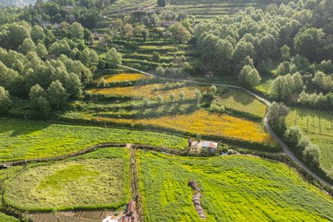 Farm i Celorico de Basto, Braga, Celorico de Basto - € 450.000 | Ref: 126221008-340 - foto 2