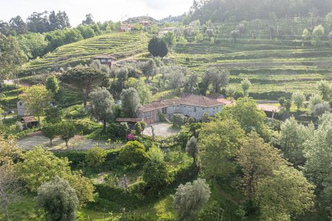 Farm i Celorico de Basto, Braga, Celorico de Basto - € 450.000 | Ref: 126221008-340 - foto 3