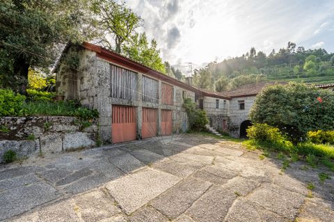 Farm i Celorico de Basto, Braga, Celorico de Basto - € 450.000 | Ref: 126221008-340 - foto 4