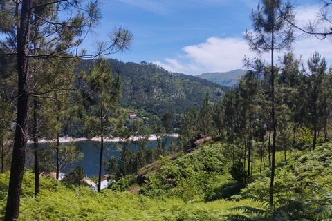 Terra a Terras de Bouro, Braga, Terras de Bouro - € 107.000 | Ref: 126971008-1 - foto 9