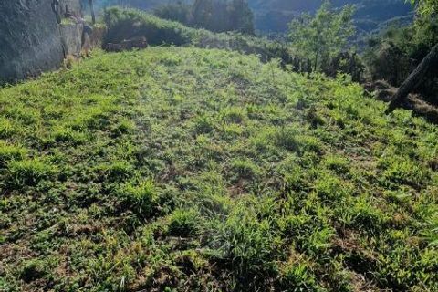 Villa i Arcos de Valdevez, Viana do Castelo, Arcos de Valdevez - € 38.000 | Ref: 123331167-411 - foto 5