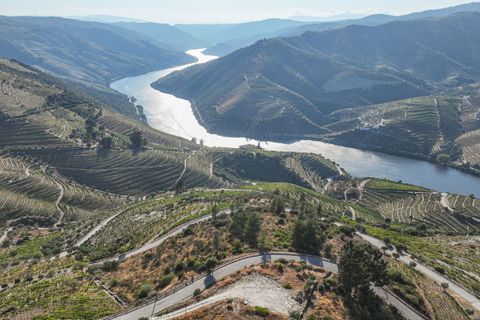 Terra a Tabuaco, Viseu, Tabuaco - € 850.000 | Ref: 126381014-16 - foto 2