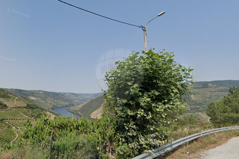 Terra a Tabuaco, Viseu, Tabuaco - € 850.000 | Ref: 126381014-16 - foto 5