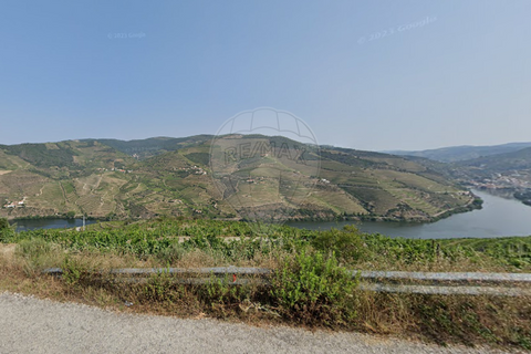 Terra a Tabuaco, Viseu, Tabuaco - € 850.000 | Ref: 126381014-16 - foto 7