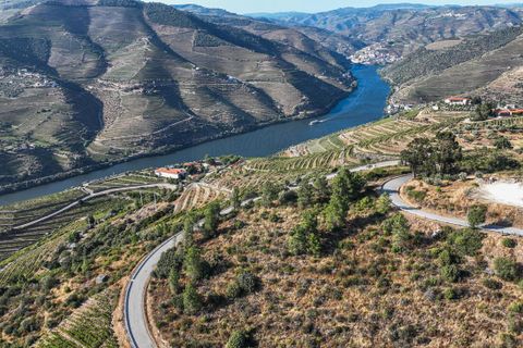 Terra a Tabuaco, Viseu, Tabuaco - € 850.000 | Ref: 126381014-16 - foto 10