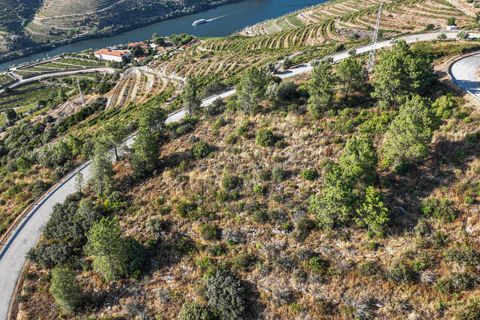 Terra a Tabuaco, Viseu, Tabuaco - € 850.000 | Ref: 126381014-16 - foto 12