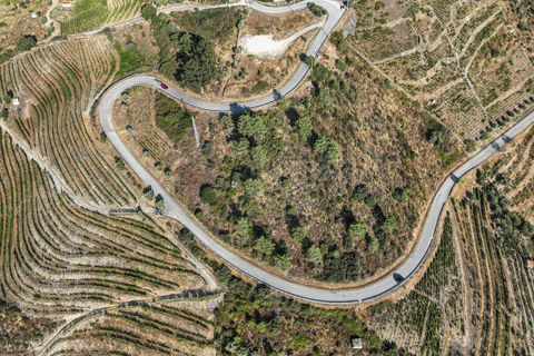 Terra a Tabuaco, Viseu, Tabuaco - € 850.000 | Ref: 126381014-16 - foto 13