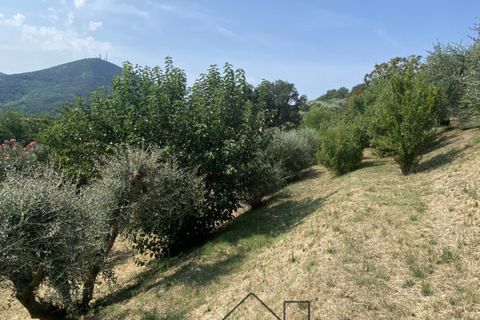Landejendom i Baone, Padua, Baone - € 540.000 | Ref: R201 - foto 32