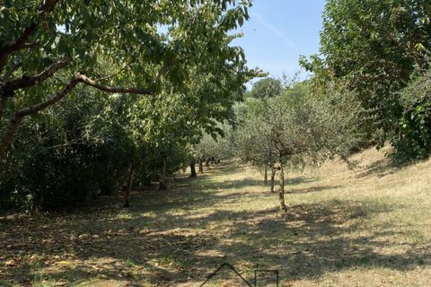 Landejendom i Baone, Padua, Baone - € 540.000 | Ref: R201 - foto 34