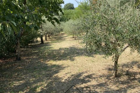 Landejendom i Baone, Padua, Baone - € 540.000 | Ref: R201 - foto 35
