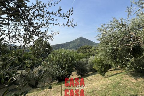Landejendom i Baone, Padua, Baone - € 540.000 | Ref: R201 - foto 38