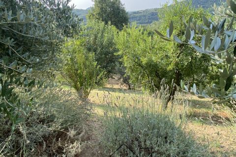 Landejendom i Baone, Padua, Baone - € 540.000 | Ref: R201 - foto 41