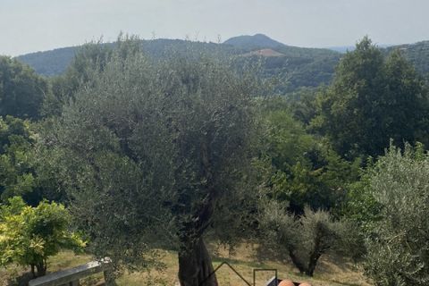 Landejendom i Baone, Padua, Baone - € 540.000 | Ref: R201 - foto 44