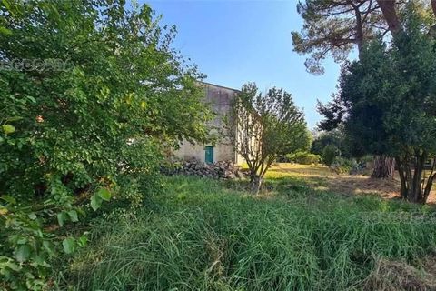 Landejendom i Fucecchio, Florence, Fucecchio - € 150.000 | Ref: 1009 - foto 3