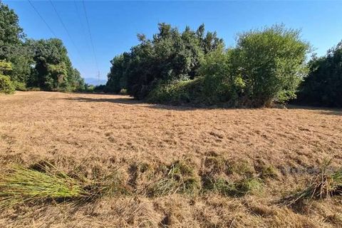 Landejendom i Fucecchio, Florence, Fucecchio - € 150.000 | Ref: 1009 - foto 4