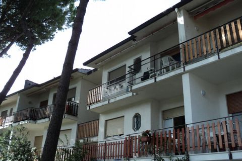 Leilighet i Comacchio, Ferrara, Comacchio - € 125 000 | Ref: MIAMI 3 - foto 3