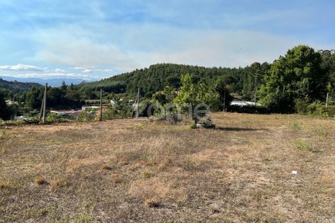 Helårsgrund i Braga, Braga, Braga - € 299.000 | Ref: ZMPT561743 - foto 4