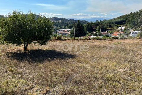 Helårsgrund i Braga, Braga, Braga - € 299.000 | Ref: ZMPT561743 - foto 5