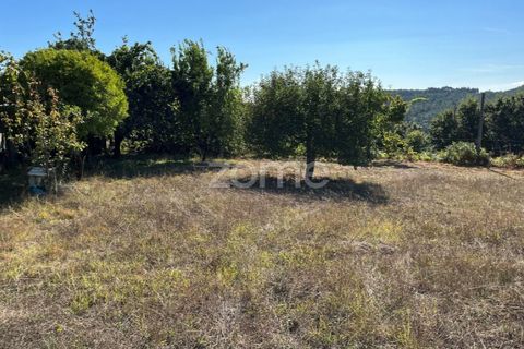 Helårsgrund i Braga, Braga, Braga - € 299.000 | Ref: ZMPT561743 - foto 9