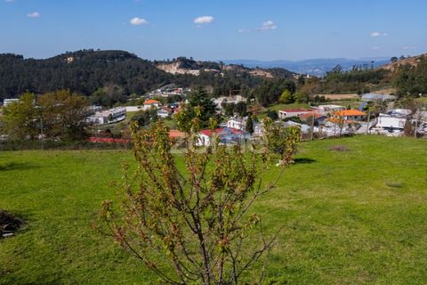 Helårsgrund i Braga, Braga, Braga - € 299.000 | Ref: ZMPT561743 - foto 17