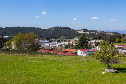 Helårsgrund i Braga, Braga, Braga - € 299.000 | Ref: ZMPT561743 - foto 19