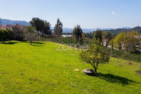 Helårsgrund i Braga, Braga, Braga - € 299.000 | Ref: ZMPT561743 - foto 20