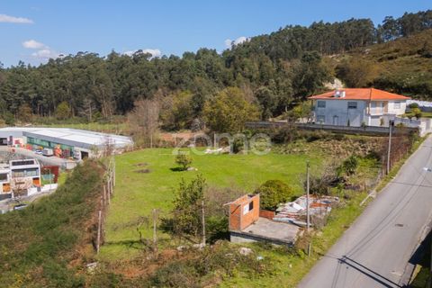 Helårsgrund i Braga, Braga, Braga - € 299.000 | Ref: ZMPT561743 - foto 23