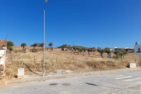 Terra a Alandroal, Evora, Alandroal - € 35.000 | Ref: ALT004/018/2024 - foto 2