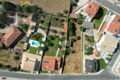 Terra a Alcains, Castelo Branco, Alcains - € 66.550 | Ref: 4724 - foto 3