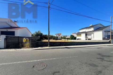 Terra a Alcains, Castelo Branco, Alcains - € 66.550 | Ref: 4724 - foto 4