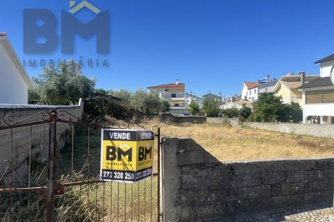 Terra a Alcains, Castelo Branco, Alcains - € 66.550 | Ref: 4724 - foto 5