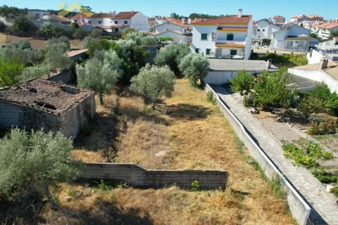 Terra a Alcains, Castelo Branco, Alcains - € 66.550 | Ref: 4724 - foto 6