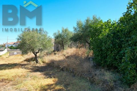 Terra a Alcains, Castelo Branco, Alcains - € 66.550 | Ref: 4724 - foto 7
