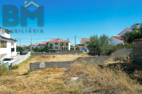 Terra a Alcains, Castelo Branco, Alcains - € 66.550 | Ref: 4724 - foto 8