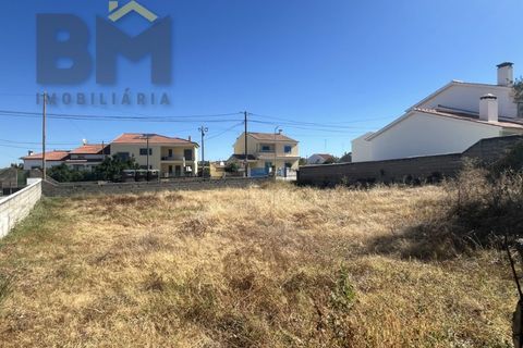 Terra a Alcains, Castelo Branco, Alcains - € 66.550 | Ref: 4724 - foto 9