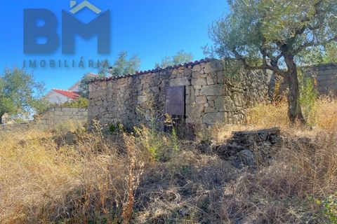 Terra a Alcains, Castelo Branco, Alcains - € 66.550 | Ref: 4724 - foto 10