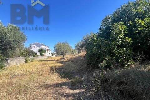 Terra a Alcains, Castelo Branco, Alcains - € 66.550 | Ref: 4724 - foto 11