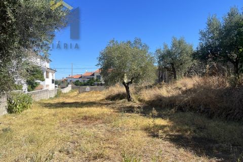 Terra a Alcains, Castelo Branco, Alcains - € 66.550 | Ref: 4724 - foto 12