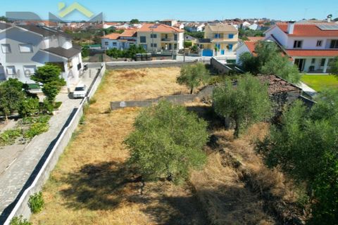 Terra a Alcains, Castelo Branco, Alcains - € 66.550 | Ref: 4724 - foto 13