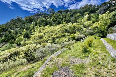Helårsgrund i Eze, Alpes-Maritimes, Eze - € 2.500.000 | Ref: VT120 - foto 7
