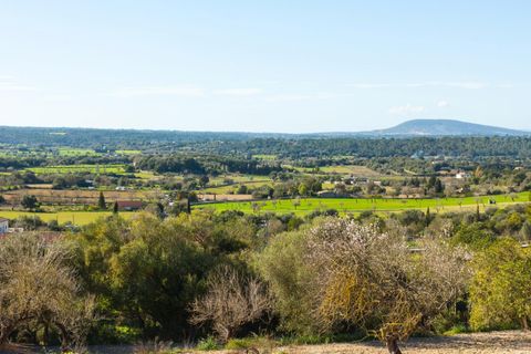 Terra a Costitx, Mallorca, Costitx - € 695.000 | Ref: 24400002_ED/11003 - foto 2
