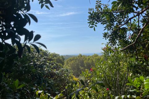 Terra a Altea, Alicante, Altea - € 349.000 | Ref: 4479 - foto 8